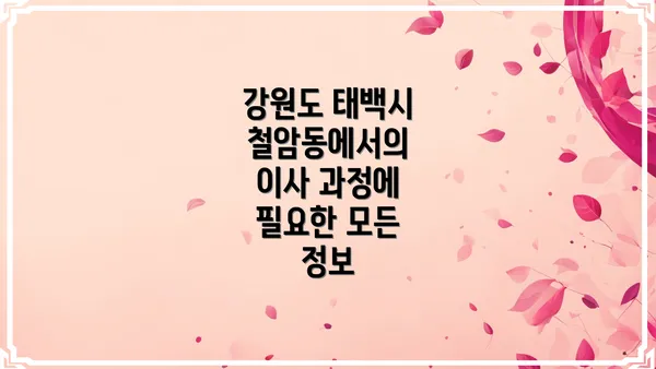 강원도 태백시 철암동에서의 이사 과정에 필요한 모든 정보