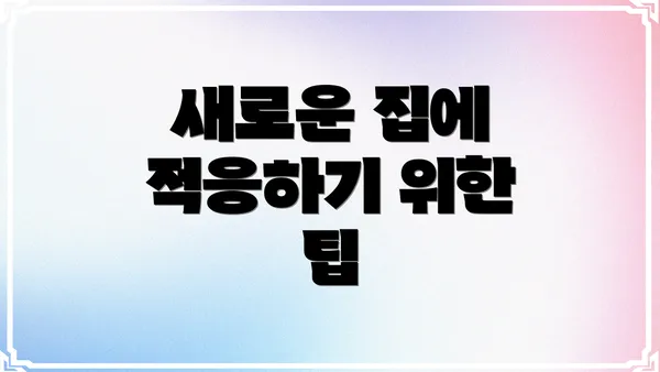 새로운 집에 적응하기 위한 팁