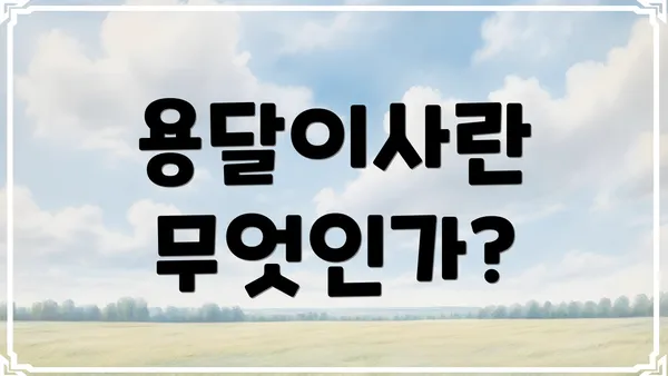 용달이사란 무엇인가?